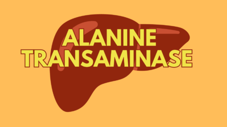 Alanine Transaminase