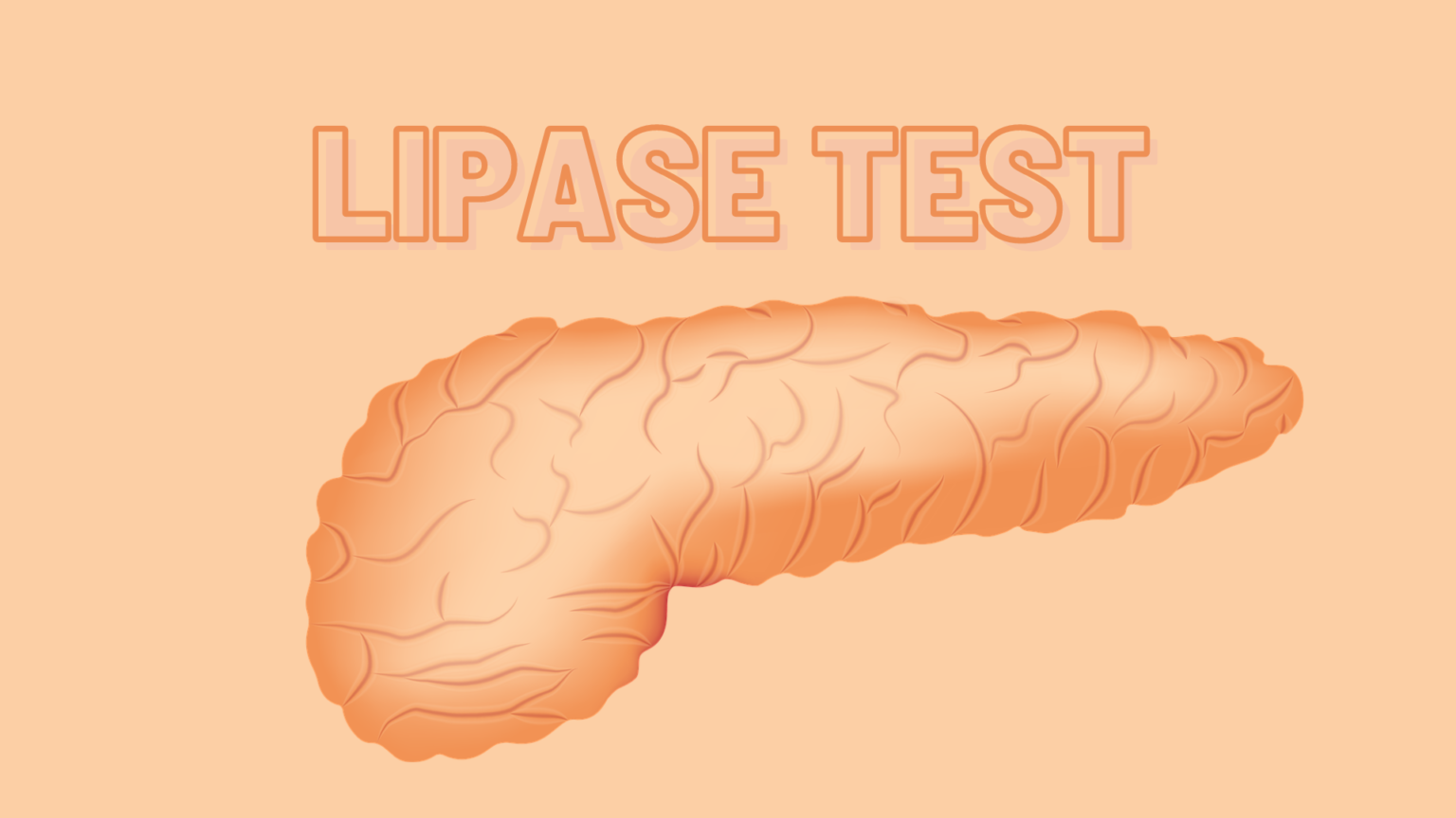 lipase test