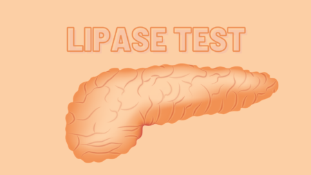 lipase test