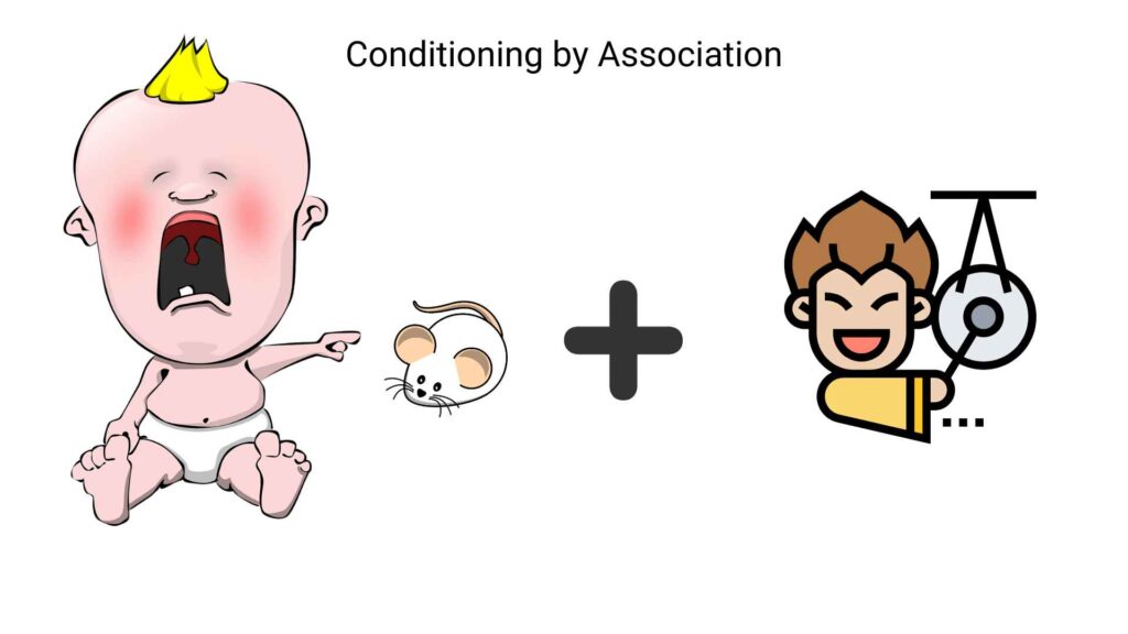 The Little Albert Experiment