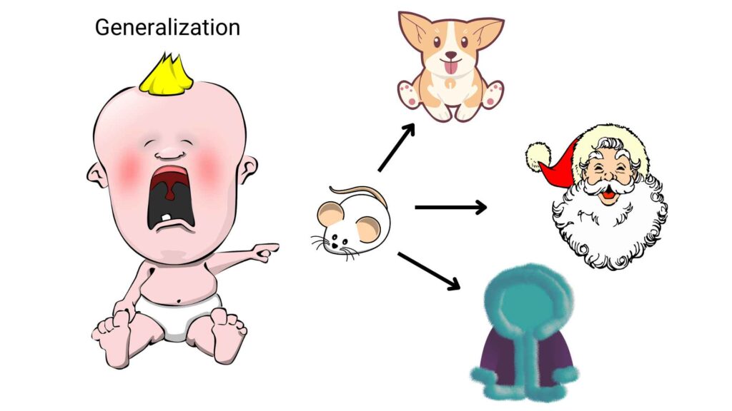 The Little Albert Experiment: Generalization