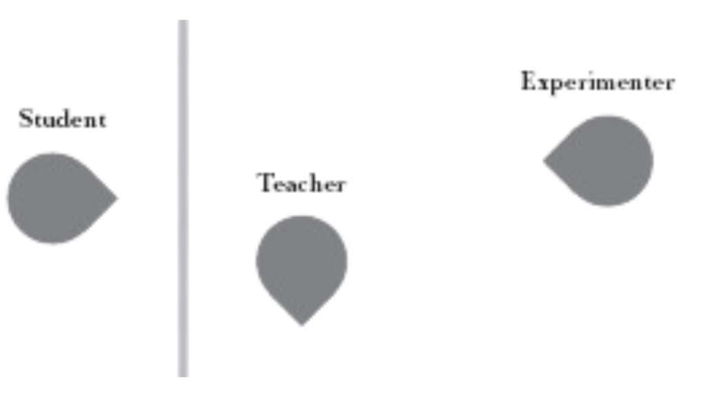 milgram's set-up