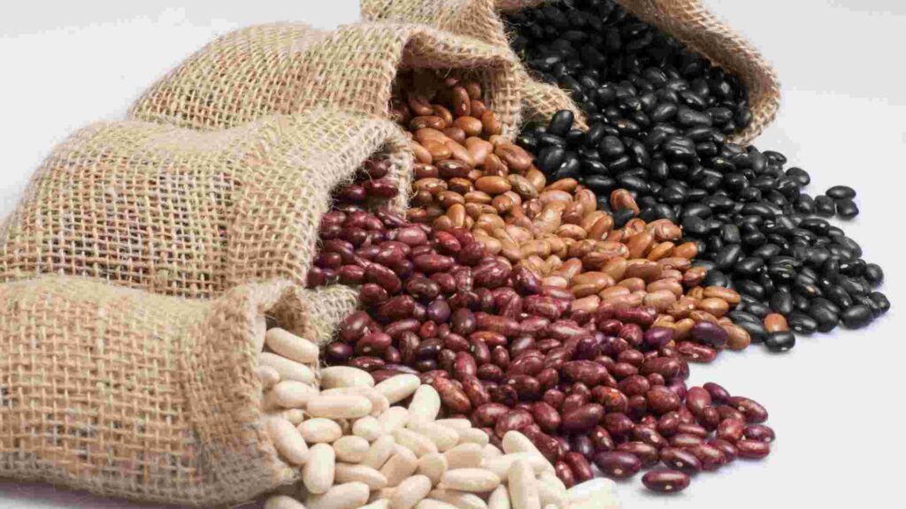 Beans and Legumes