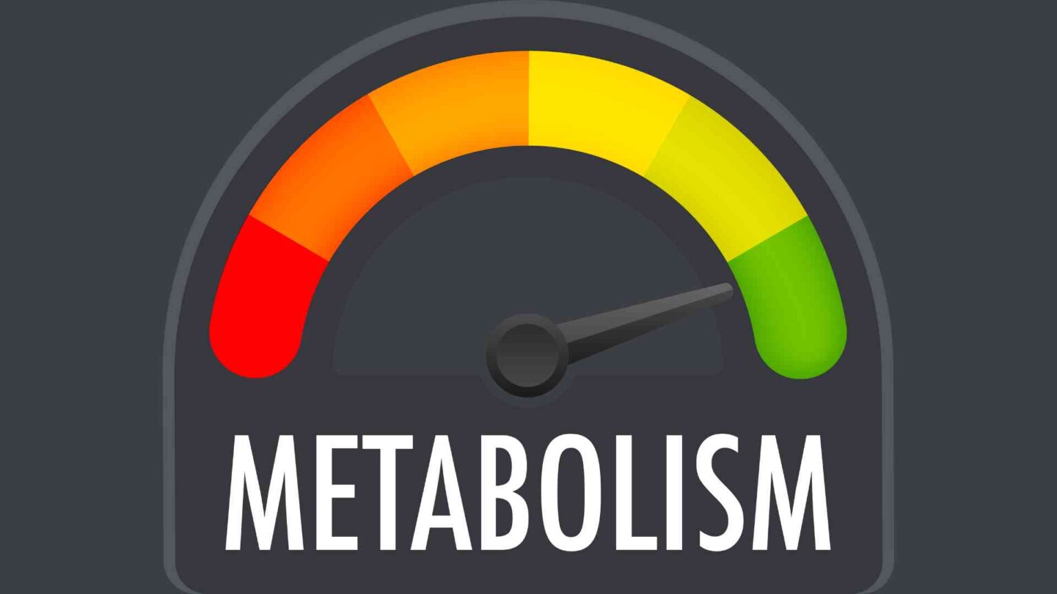 How To Increase Metabolism For Weight Loss: A Complete Guide