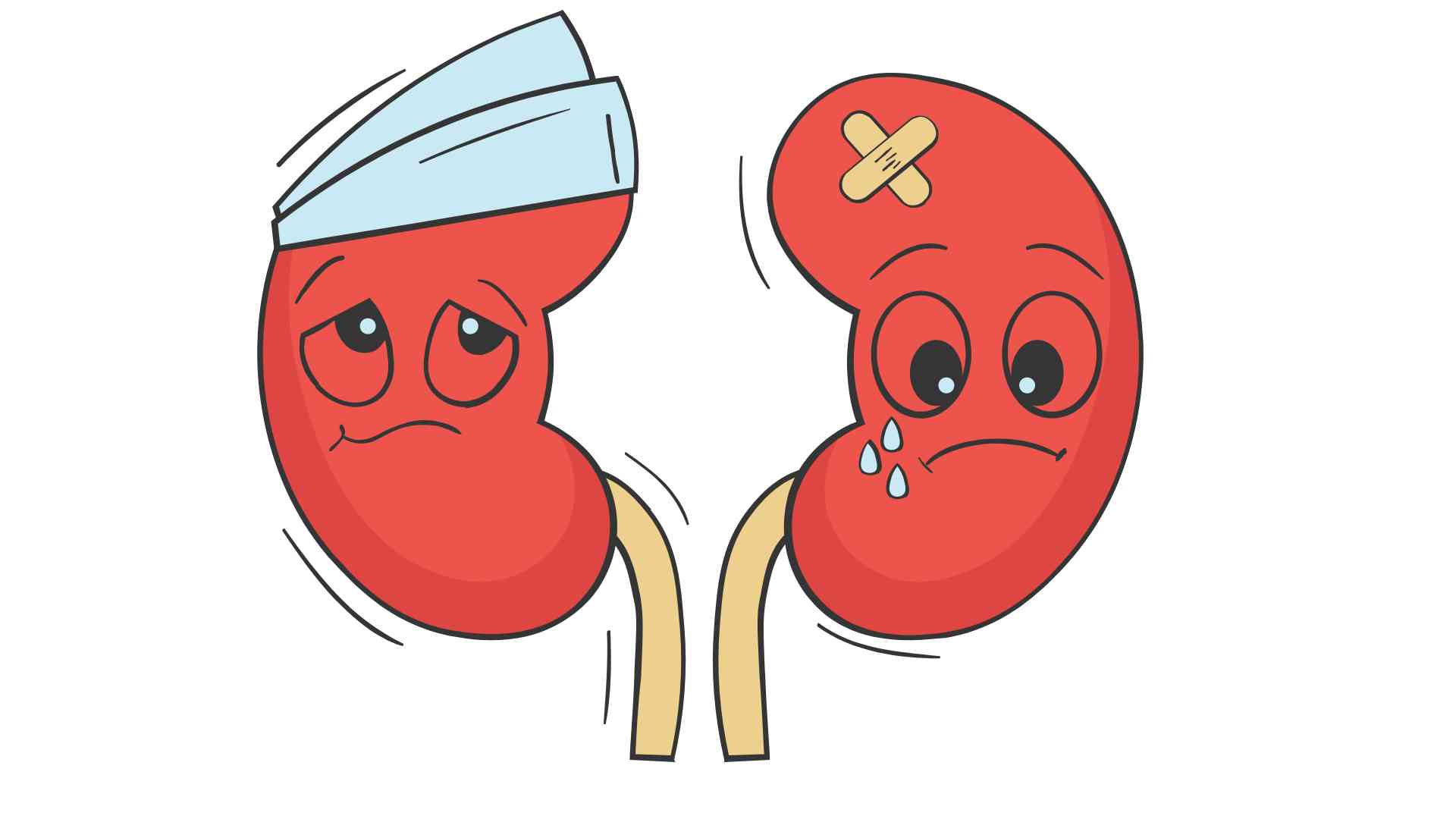 Kidney Deficiency Vitamin D Deficiency: All You Need To Know