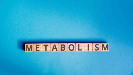 What Is Metabolism