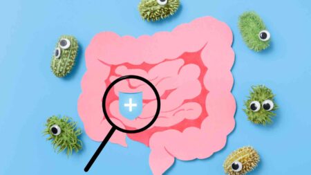 What is Gut Microbiota